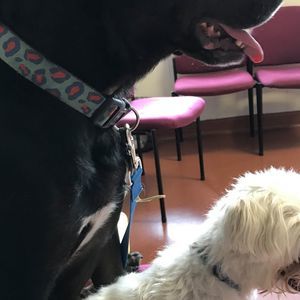 Meet your Posher, AF